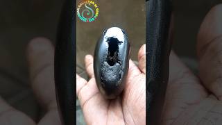 Shaligram -sri laxmi narsimha shaligram shila ?? shorts short shortsfeed