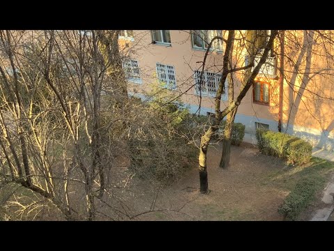”PAPANLUK” ili “POGANLUK”?