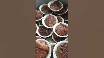 Cỗ Vùng Cao Lục Ngạn Có Gì