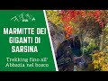Trekking in Romagna: Le Marmitte dei Giganti di Sarsina e l'abbazia di San Salvatore in Summano