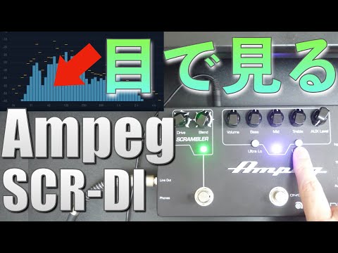 Ampeg SCR-DI ベースプリアンプ DIボックス SCR-DI - ペダル・シリーズ - Ampeg Japan