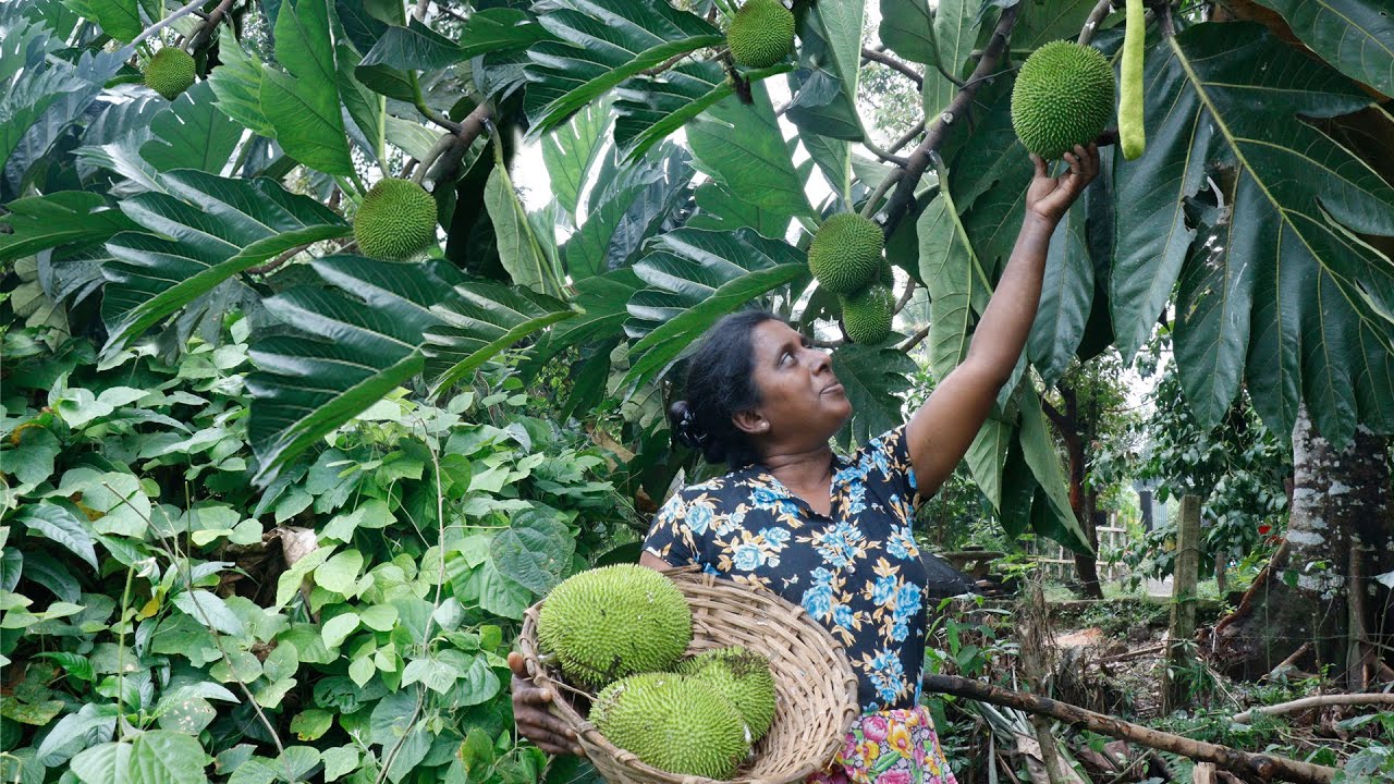 village food 😍 A delicious recipe for a village meal made by my daughter. village kitchen recipe