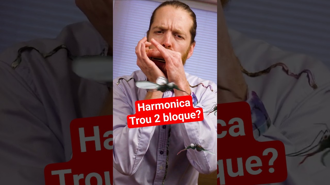 Harmonica 2ième trou bloque?