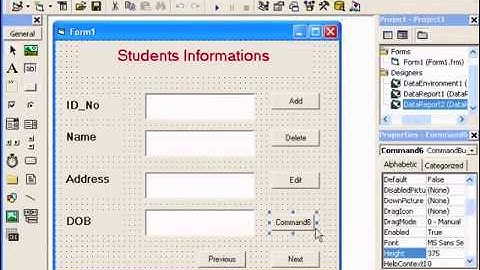 Data Report : How to create Data Report in Visual Basic