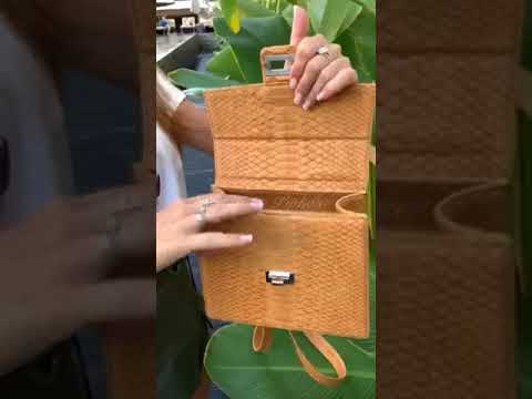 Видео: Сумка из кожи питона BG-449