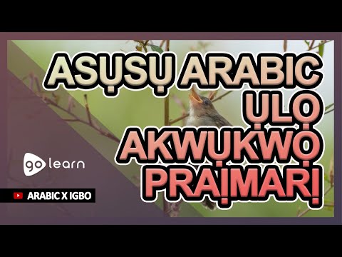 Asụsụ Arabic Ụlọ akwụkwọ praịmarị | Golearn