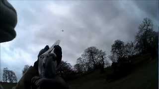 BarrelCam - Pheasant Shooting at Ripley Castle BarrelCam - Pheasant Shooting at Ripley Castle