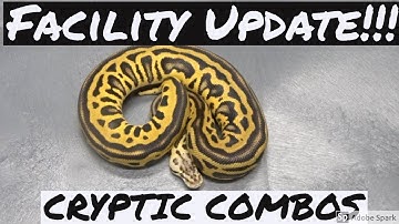 Facilty Upgrade + Cryptic Progression