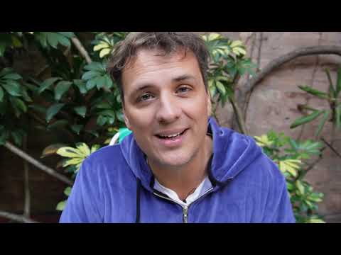Santiago Noestudiénada y una nueva caminata del alma