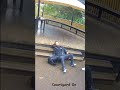 Man Slips and Falls on Slippery Stairs - 1448210