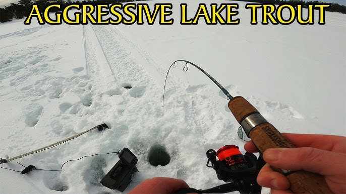 shorts Using Rattle Baits for Big Lake Trout Ice Fishing 2023 