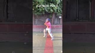 How to play Cut Shot 🏏 #cricket #cricketlover #cricketcoaching #thetricc #viralshort #cricketshorts