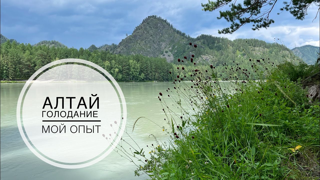 Vlog 43 // Как я ездила на Алтай в клинику голодания // Мало вязания