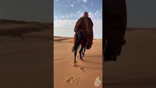 كنت أحبك - محمد بن غرمان -اجمل تصميم - في حب الخيل 🐎🐎