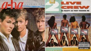 a-ha VS 2 Live Crew (Me So Horny -Take on me) DJ Cracker Jacks Mashup