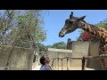 Feeding a Giraffe at the Puerto Vallarta Zoo