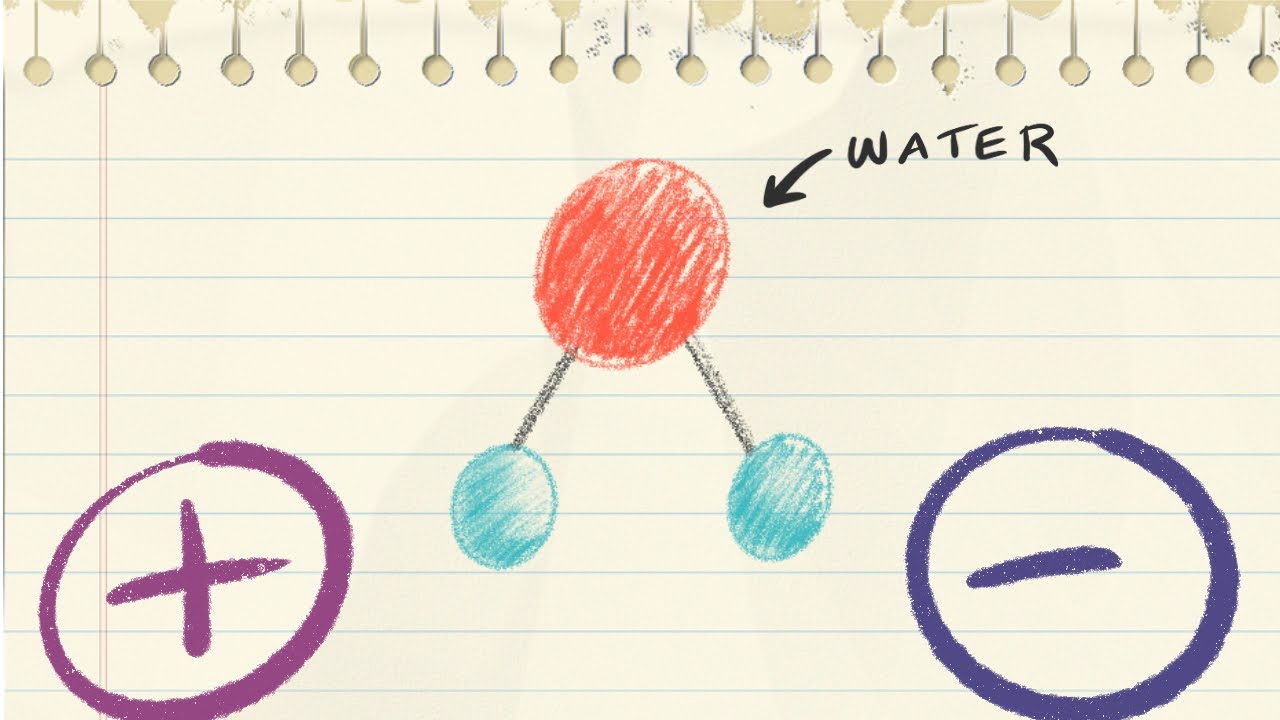 Hydrophilic Molecules Vs Hydrophobic Molecules - Chemistry Tutorial