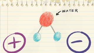 Hydrophilic molecules vs hydrophobic molecules - Chemistry tutorial