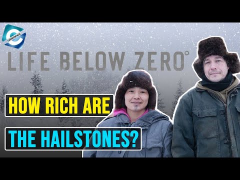 Видео: Jon chip hailstones син ли е?