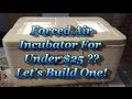 Build a Forced Air Incubator For UNDER $25!!