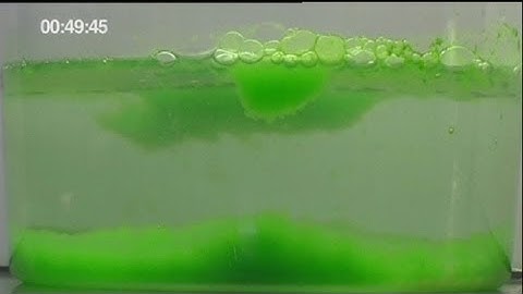 euronews science - Micro-algae is new energy source