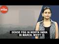 Why is North India in the Grip of Dense Fog in March? Reason Revealed