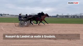 Prix d’Amérique : Hussard du Landret à l’entraînement lundi matin à Grosbois