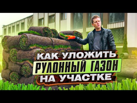 Как правильно укладывать рулонный газон своими руками на участке