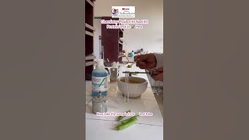 Protein testing in 🫛 pea with practical guru Monu sharma