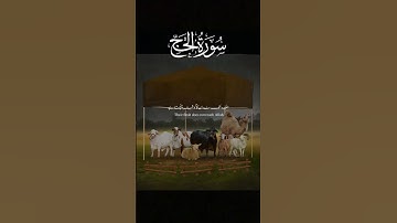 سورة الحج  💯🤲 Surah al hajj:Quran 💯❤Urdu🤲 translation #islamicscripture #hajj