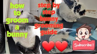 Bunny grooming edition #1| bunny grooming | bunny lover must watch this video by Groomers Archive 230 views 3 years ago 13 minutes, 56 seconds