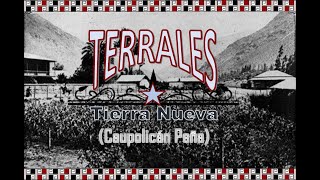 Play video: Terrales (Caupolicán Peña)  - Tierra Nueva