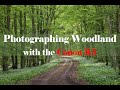 Woodland Photography with the Canon R5 - Wild Garlic Heaven