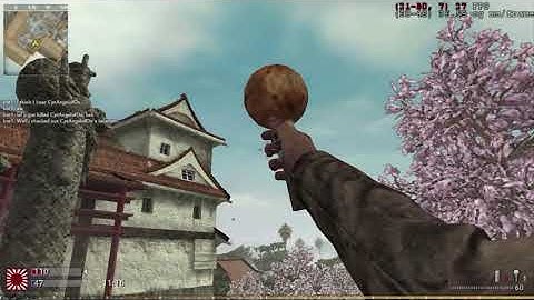 Call of Duty: World at War Bot Warfare 1.0.2 Download tutorial and gameplay