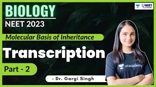 Transcription | Molecular Basis of Inheritance | Part - 2 | NEET 2023 | Dr Gargi Singh