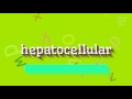 How to say "hepatocellular"! (High Quality Voices)