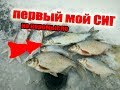 первый мой сиг, подлещик на коромысло, 01.02.18, tmz fishing