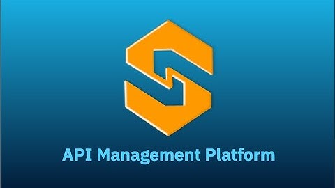 Syvizo Software - API Management Platform Introduction