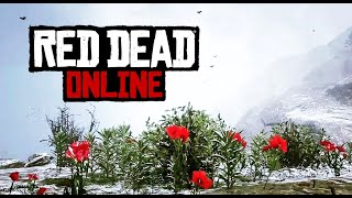 Vídeo Red Dead Online