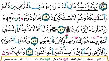 (11) تلاوة بصوت القارئ هزاع البلوشي سورة النحل، الآيات: 49-54