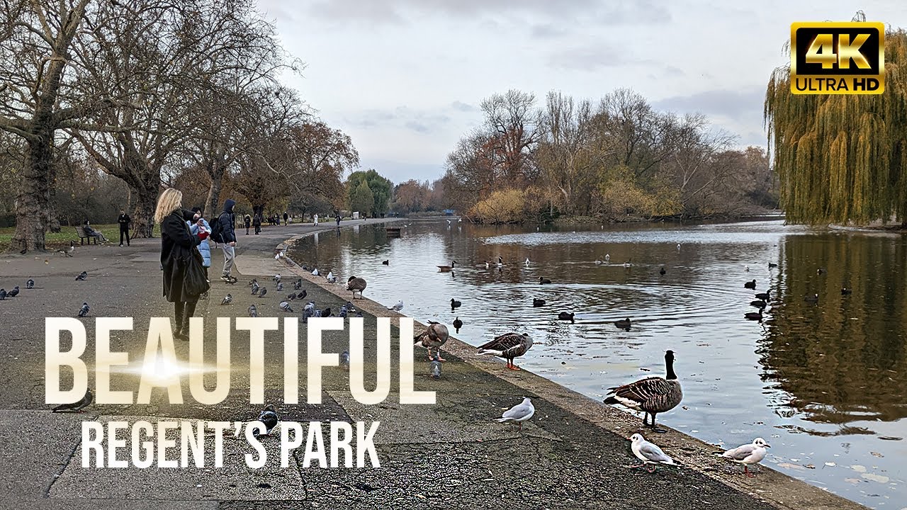 London Walk Exploring The Beauty of Regent's Park in Autumn Winter - A Calm and Peaceful Stroll 4K