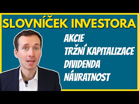 Co je to akcie, tržní kapitalizace, PE či dividenda? (Pro začátečníky)