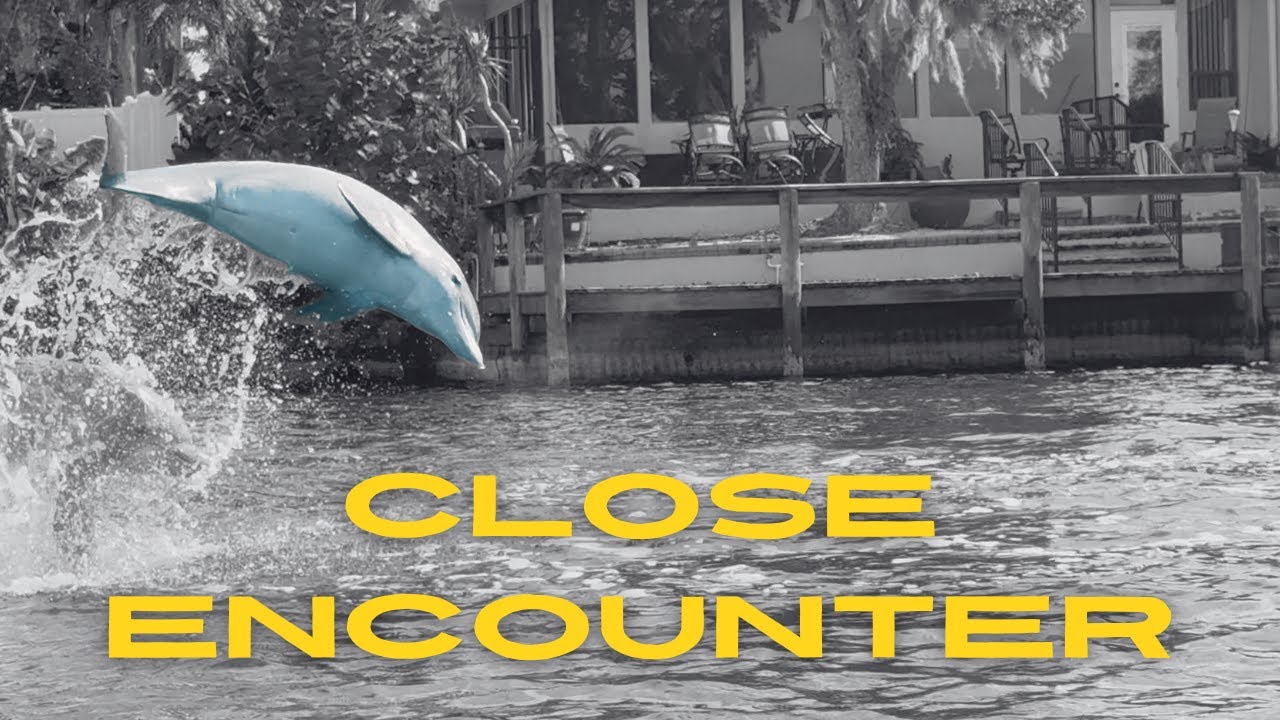 Kayaking with Manatees & Dolphins | Epic Adventure on Eau Gallie River