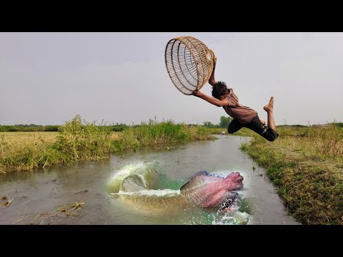 😲New Polo Fishing In New Flood Water 🖤 Village Traditional Bamboo Tools Polo Fishing Video