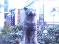 Dog statue in shibuya  "Hachiko" meet again his master.