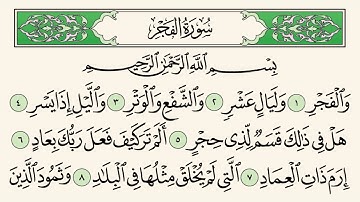 سورة الفاتحة ثم الفجر | تلاوة القارىء شاكر العصيمي