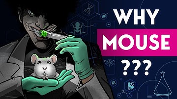 the real reason we do clinical trials on mice and not other animals