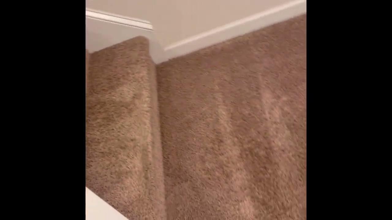 Greenville carpet cleaning YouTube