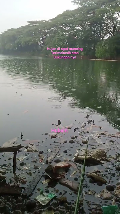 Rainy conditions, fish have difficulty eating #shorts #fishing