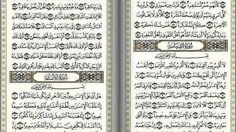 سلمان العتيبي سوره القيامه